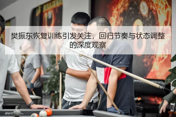 樊振东恢复训练引发关注，回归节奏与状态调整的深度观察